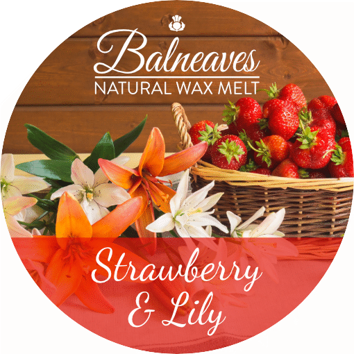 Strawberry & Lily Wax Melt